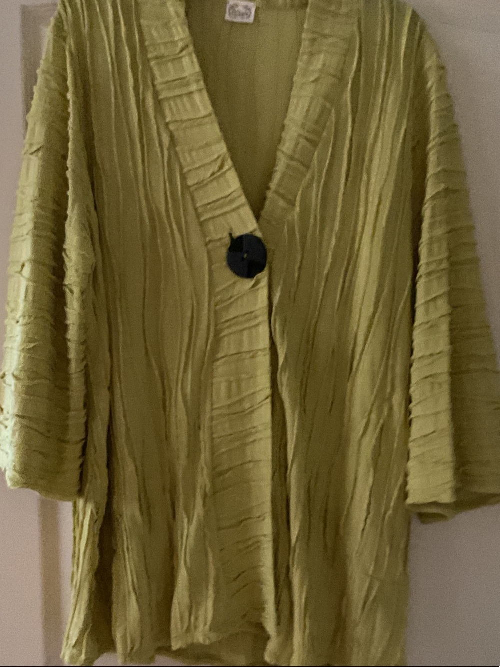 Textured Olive Green Button-Front Tunic Top